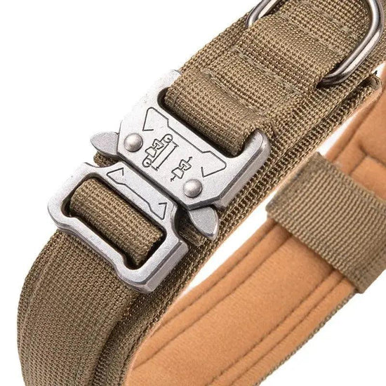 Collar with Handle - K9 Kingdom 