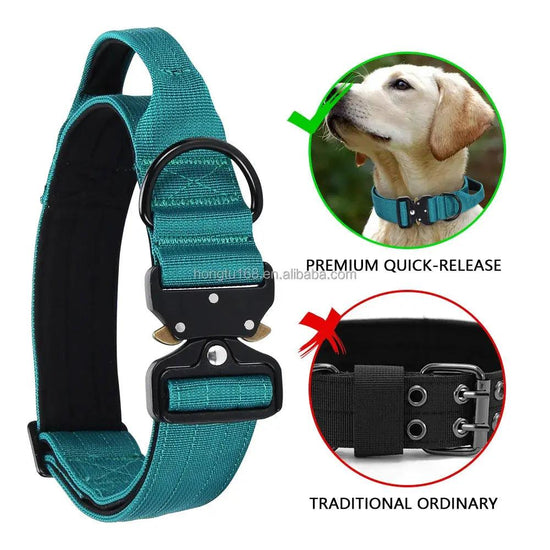 Metal Buckle Collar Product vendor 