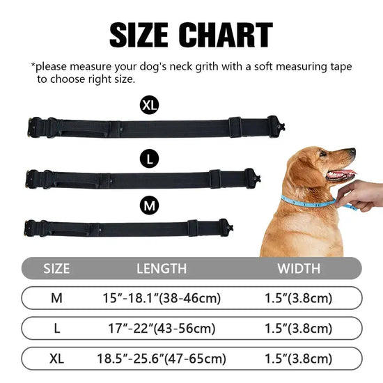 Wide Metal Buckle Collar Product vendor 
